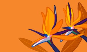 Spanish B Support Site