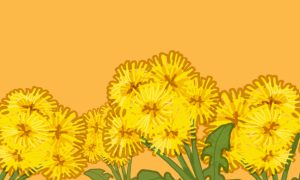 Spanish Ab Initio Support Site